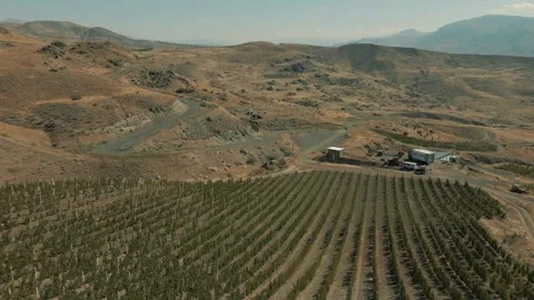 An Aerial View Of The Vineyards 8 Stock Footage 318901973
