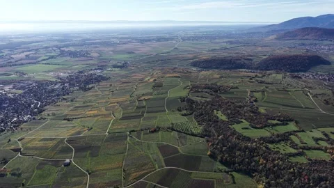Aerial view of vineyards and fields, France. Stock Footage 320531078