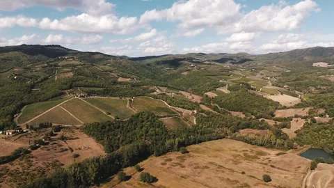 Aerial View of Vineyards and Rolling Tuscan Hills in Radda in Chianti, Italy Stockbeeldmateriaal 344137004