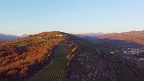 Aerial view of the vineyards Stock Footage 143703050