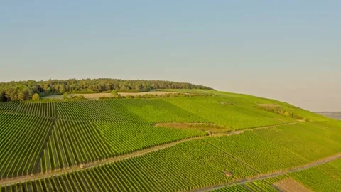 Aerial View of Vineyards Stock Footage 234705258