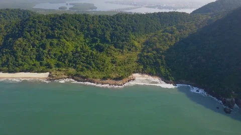 Aerial view of virgin beach in atlantic forest Stock Footage 127594068
