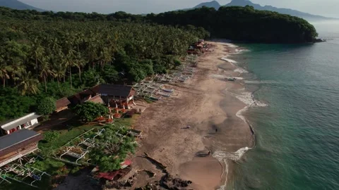Aerial View of Virgin Beach Coastline with Palm Trees, Traditional Boats and Cal Stock-Footage 337777053