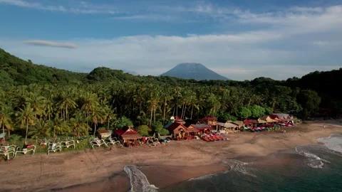 Aerial View of Virgin Beach with Palm Forest, Traditional Boats, Ocean Waves and Vídeos de archivo 337784949