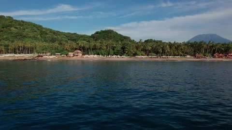 Aerial View of Virgin Beach with Palm Forest, Traditional Boats, Ocean Waves and Stock-Footage 337785136