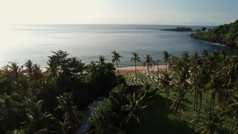 Aerial View of Virgin Beach Palm Forest, Ocean Horizon and Sun Reflection on Wat Vídeos de archivo 337801876
