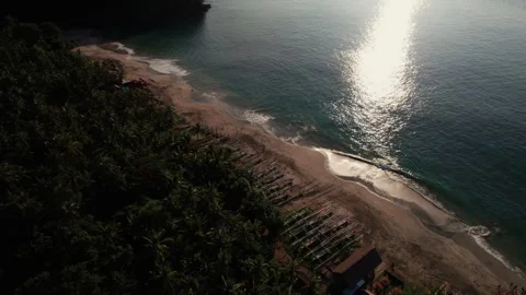 Aerial View of Virgin Beach Palm Forest, Ocean Horizon and Sun Reflection on Wat Vídeos de archivo 337801904