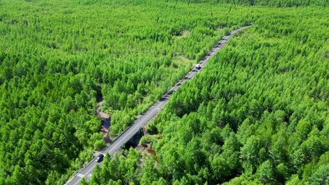 Aerial View of a Virgin Forest Stock Footage 330278983
