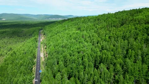 Aerial View of a Virgin Forest Stock Footage 330278993