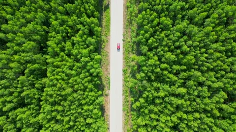 Aerial View of a Virgin Forest Stock Footage 330279051