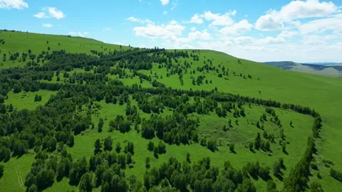 Aerial View of a Virgin Forest Video stock 330279284