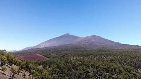 Aerial view of volcano Teide with pine trees foreset. Tenerife. Stock Footage 158496857