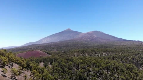 Aerial view of volcano Teide with pine trees forest. Tenerife. Stock Footage 158497093