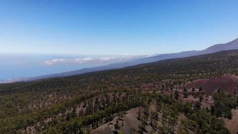 Aerial view of volcano Teide with pine trees foreset. Tenerife. Video stock 158497118