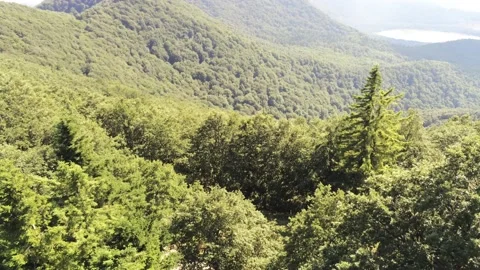Aerial view from Vulture Stock Footage 137841392