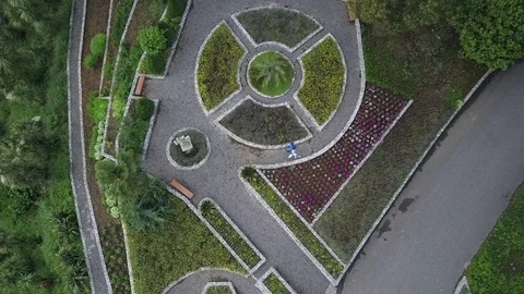 Aerial view. walking couple in Botinical Garden. Batumi. Georgia 2017 summer 库存影片 84027362