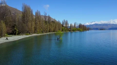 Aerial view of Wanaka tree in Lake wanaka, New Zealand. Stock-Footage 99341489
