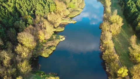 Aerial View of the Warta River Lined with Colorful Autumn Trees Video stock 330027284