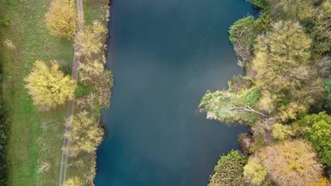 Aerial View of the Warta River Lined with Colorful Autumn Trees Stock Footage 345139291