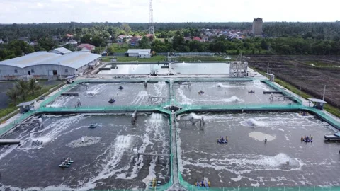 Aerial view of water circulation in a shrimp pond located on the beach Stock Footage 275631466