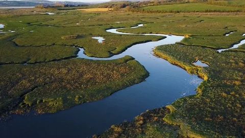 Aerial View of Water Flowing Through Marshlands at High Tide Video stock 73559009
