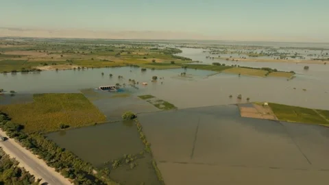 Aerial view of water logged fields due to flood in Punjab, Pakistan. Stock Footage 317755464