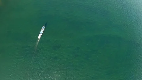 Aerial view of water surface top down. A white ship sails on green water Video stock 124399424