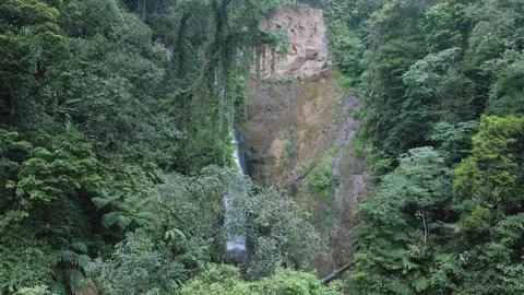 Aerial view of waterfall 14 Stock Footage 291758036