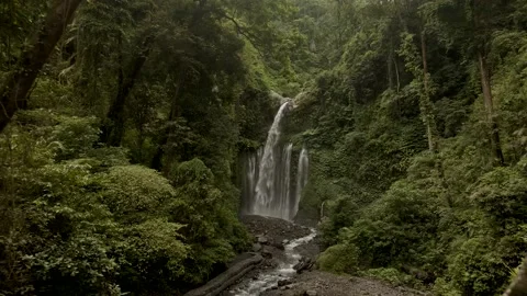 Aerial view waterfall Air Terjun Tiu Kelep near Rinjani, Lombok. Green scenery. Stock Footage 153028512