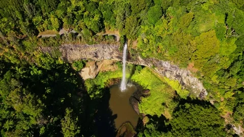 Aerial view of waterfall and dense forest, New Zealand. Stock Footage 320870790