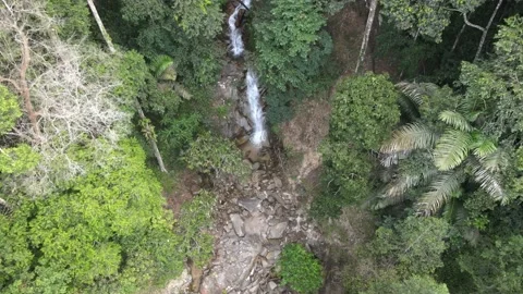 Aerial view of waterfall and forest in Jelebu Stock Footage 149718250