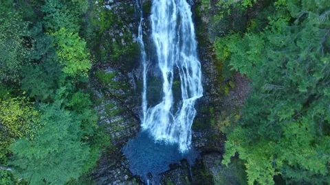 Aerial View of a Waterfall Cascading Through a Lush Green Forest Stock Footage 301088023