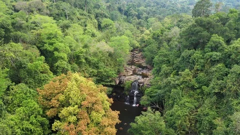 Aerial view waterfall in deep forest. Khlong Chao Waterfall in Koh Kood, Thailan 스톡 동영상 105356094