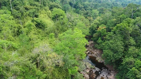 Aerial view waterfall in deep forest. Khlong Chao Waterfall in Koh Kood Thailand Видео 111429433