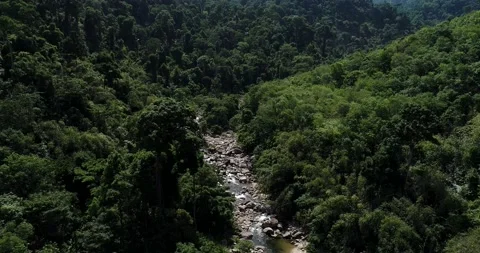 Aerial view waterfall in deep mountain rain forest with rocky Thailand Video stock 134447837