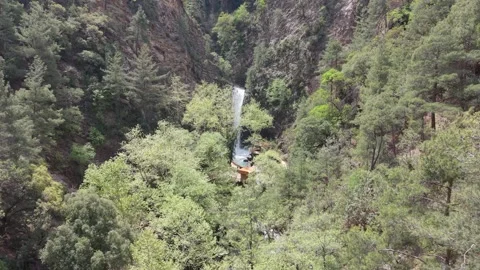 Aerial View Of Waterfall Deep In Pine Forest Canyon 4K Stock Footage 333598009