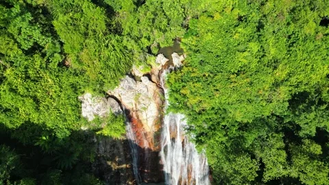 Aerial View of Waterfall in Dense Jungle 動画素材 313455997