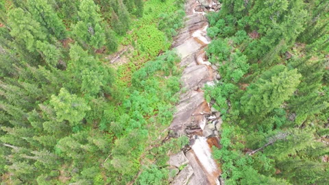 Aerial View of a Waterfall in a Forest on a Summer Day Stock-Footage 278324231