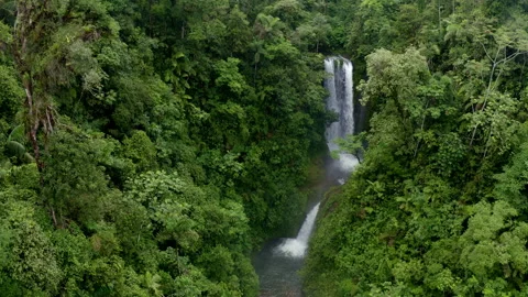Aerial view of a waterfall inside a tropical forest, going backwards Stock Footage 169922995