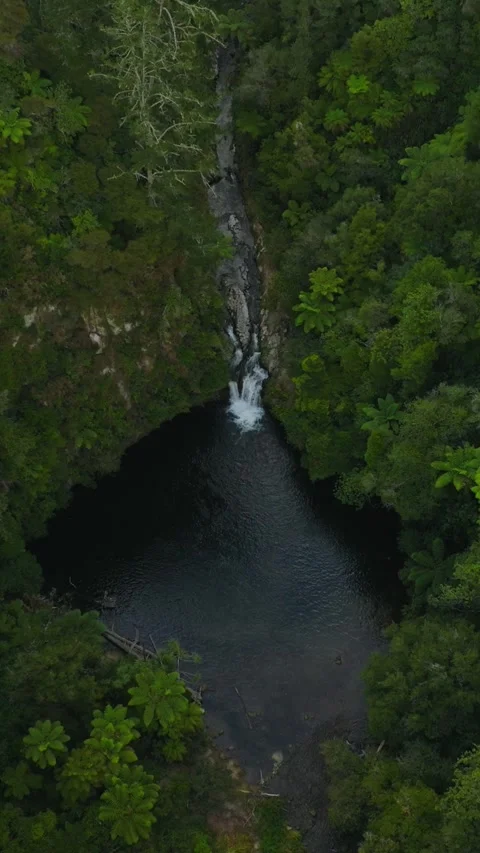 Aerial view of waterfall located in the middle of wild forest Stock Footage 284652104