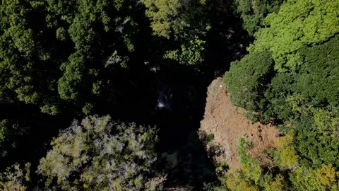 Aerial view of waterfall in the middle of the forest in Maui, Hawaii. Stock-Footage 162078867