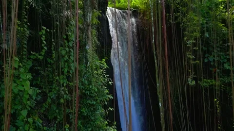 Aerial View Waterfall of Mountain Falling in Green Nature of Forest Landscape Stock Footage 282942618