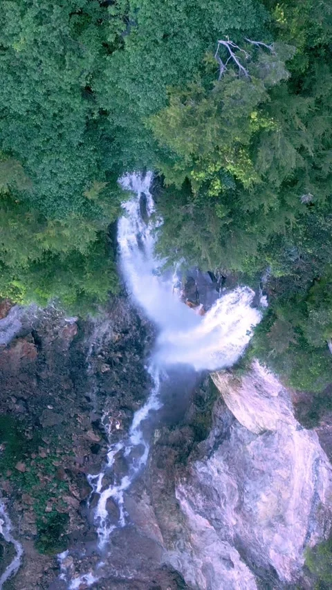 Aerial View Waterfall of Mountain Falling in Green Nature of Forest Landscape Stock Footage 313312151