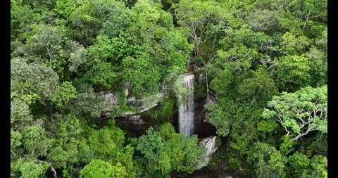 Aerial View of Waterfall Surrounded by Lush Green Canopy Stock-Footage 336567613