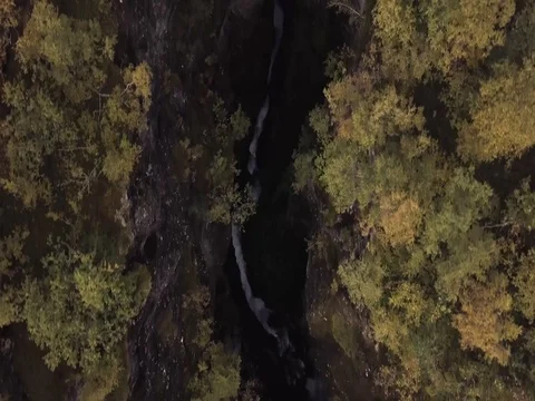 Aerial View of Waterfall through Deep Valley of Rock and Forest, Fast Tilt Up Видео 82981003