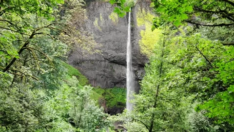 Aerial View of Waterfall Through Trees in Slow Motion Stock Footage 146560415