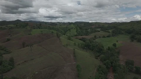 Aerial View of Wave-Like Rolling Green Hills, Terraced Farmland and Stormy .. Vídeos de archivo 337529654