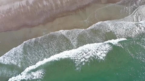 Aerial View of Waves with Bird Flying Past Stock Footage 339576892