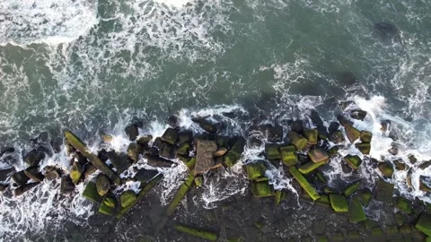 Aerial View, Waves Break on Mossy Shoreline Stock Footage 269494782