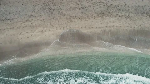 Aerial View Waves Break On White Sand Beach In Miami, Florida Stock Footage 171902033